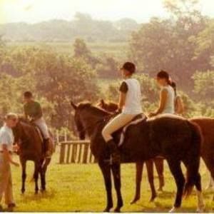 Meet your Posher, Janis